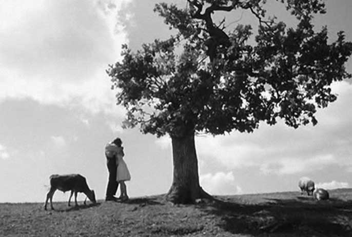 Avril : révolte contre le monde moderne