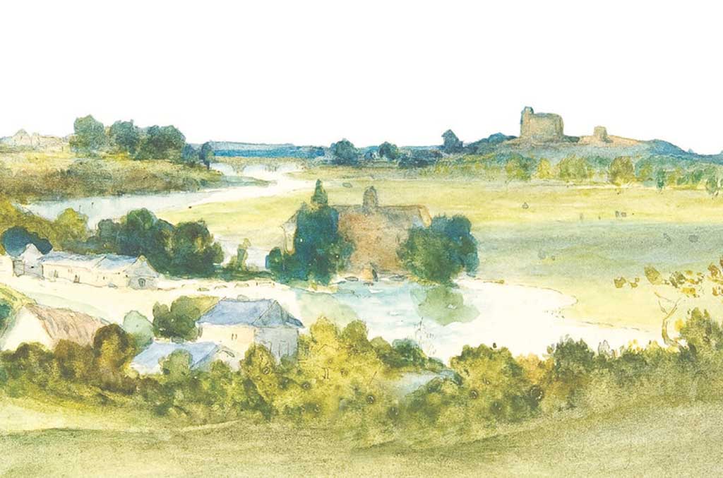 Forlonger le monde : les fougères contre la machine