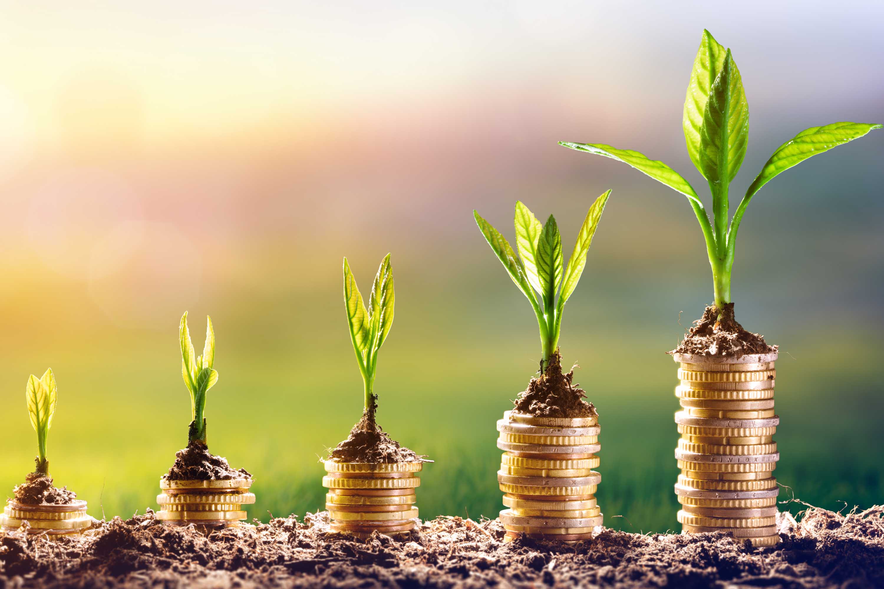 Guillaume Travers : « Il faut construire une économie d’opposition »