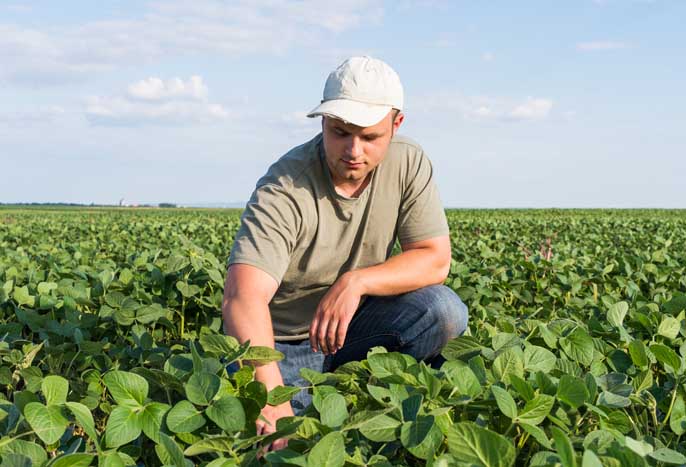 Habiter le monde en poète, mais habiter d’abord