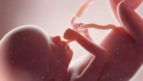 La qualité de la vie