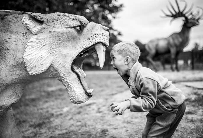 Le courage est notre patrie