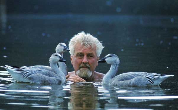 Les théologiens du Parti