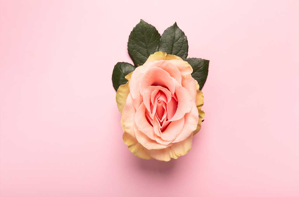 La virginité retrouvée de Maeva G.